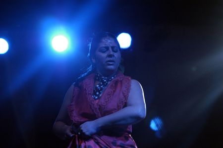 2007/06/25- Granada, Spain - traditional Zambra del Sacromonte, based on the Gypsy wedding ritual, under the direction of AlbaicÃ­n Curro on the square of the Pasiegas of Granada, within the Flamenco FEXのeditorial素材