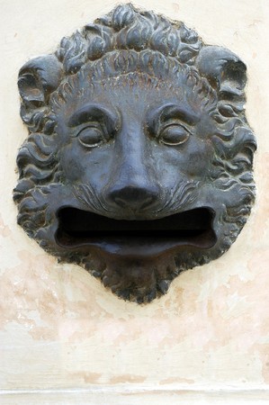 Lion's headの写真素材