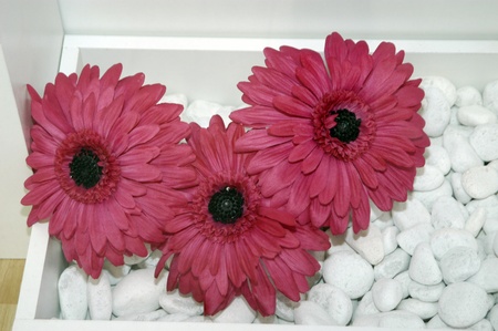 decorative flowersの写真素材