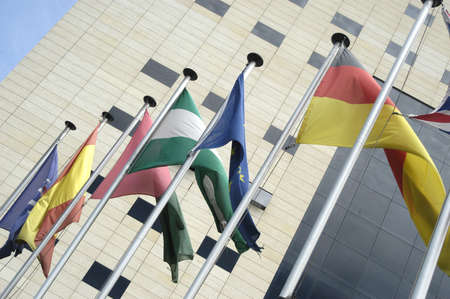 international flagsの写真素材