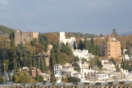 view of the city of Granada from the cathedral tower. 17-11-2011のeditorial素材