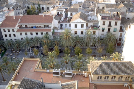 view of the city of Granada from the cathedral tower. 17-11-2011のeditorial素材