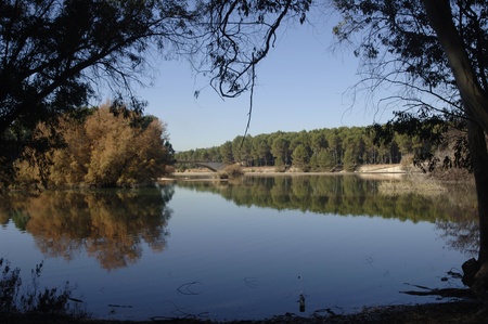 Cubillas swamp view, in the province of Granadaの写真素材