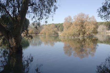 Cubillas swamp view, in the province of Granadaの写真素材