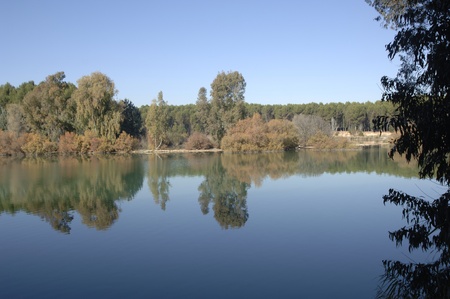 Cubillas swamp view, in the province of Granadaの写真素材