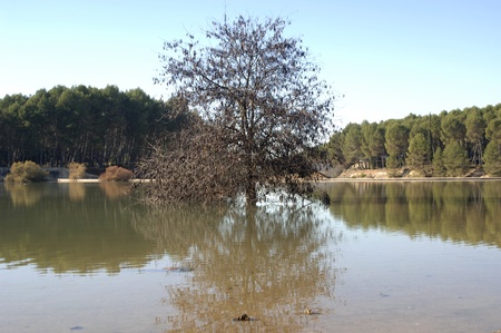 swamp of Cubillas in the province of Granadaの写真素材
