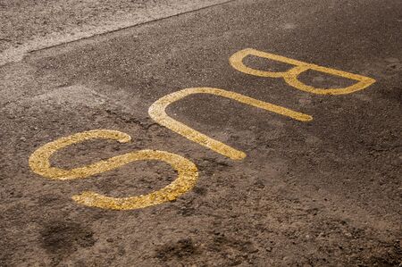 Painted bus lane information