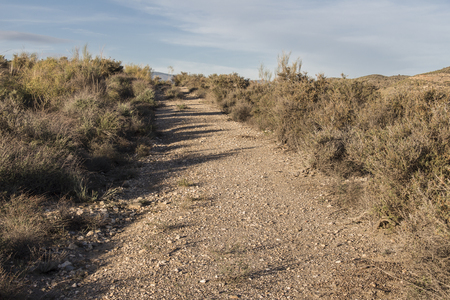 dirt road in the desert, lonelinessの写真素材