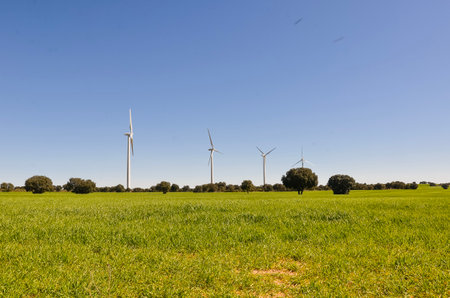 Wind turbines are producing clean energy in a green field, symbolizing sustainable power generationの写真素材