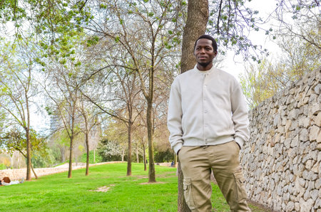 Portrait of a young black man standing in a park, leaning against a tree, with a stone wall and trees in the background, enjoying a sunny dayの写真素材