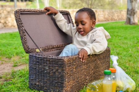Happy african american toddler looking inside wicker basket during picnic in a parkの写真素材