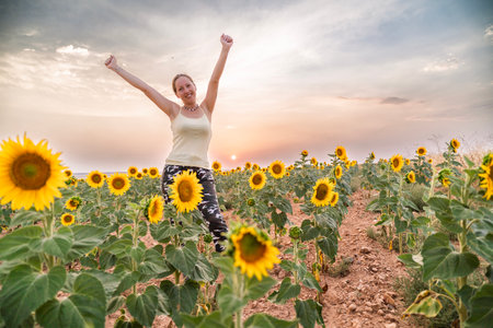 Young woman celebrating in a sunflower field at sunset, enjoying freedom and natureの写真素材