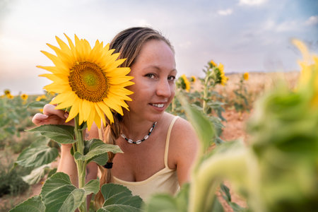 Young female farmer holding a large sunflower in a field of sunflowers at sunsetの写真素材