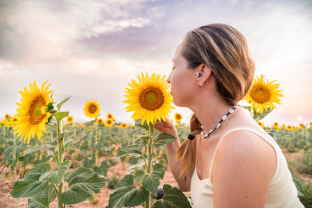 Young woman smelling a sunflower in a field of sunflowers at sunsetの写真素材