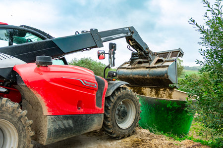 Red telescopic handler loading harvested olives into a green container, showcasing agricultural technology in actionの写真素材