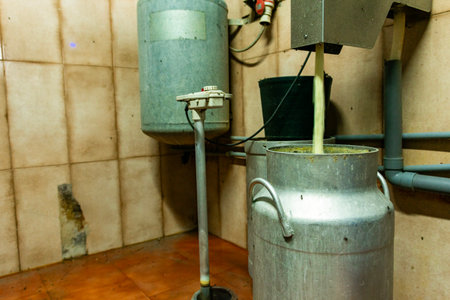 Stream of fresh cheese falling into milk can in small traditional dairy factoryの写真素材