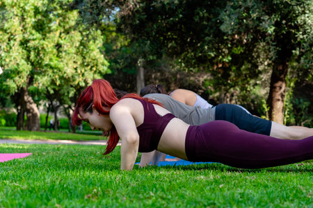 People performing plank exercise on green grass in a public park