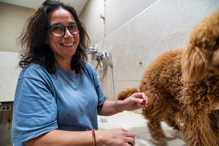 Woman groomer smiling while brushing a curly brown poodle dog in a pet salonの写真素材