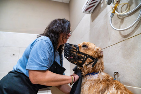 Professional pet groomer gently drying a wet dog wearing a muzzle after grooming service