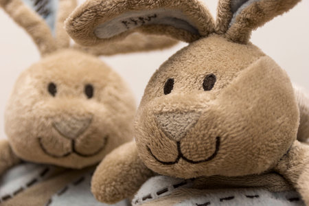 Bunny shoesの写真素材