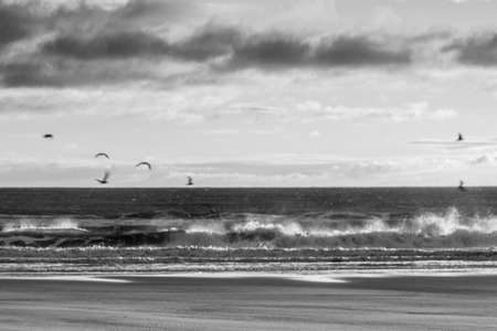 A sunrise on the beach, with golden tones bathing the sand and the clouds in the sky.の写真素材