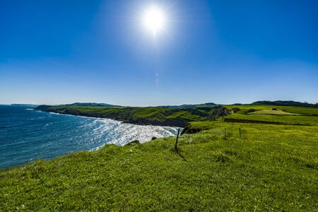 Large green grassland landscape for cattle at the edge of a cliffの写真素材