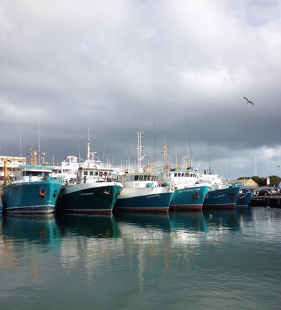 Fishing Boats の素材