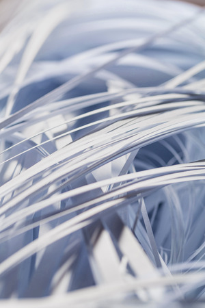 White Shredded paper texture for background. Selective focusの写真素材