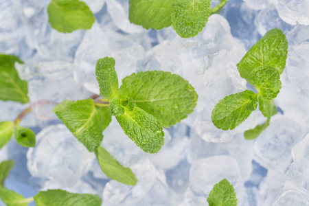 Fresh mint leaves lie on ice cubes. Preparation of cocktails. Concept purity and freshness . Selective focus.の写真素材