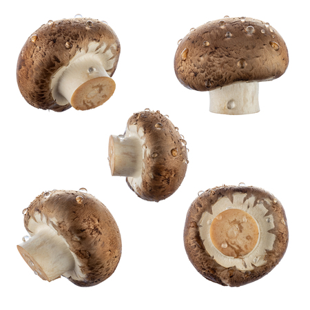 Fresh champignon mushroom isolated on white. Healthy foodの写真素材