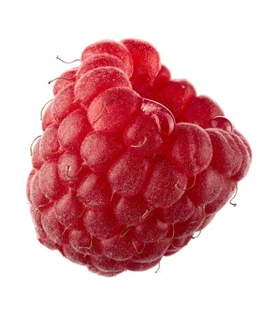 Ripe red raspberry isolated on white background. 100 percent sharpnessの写真素材