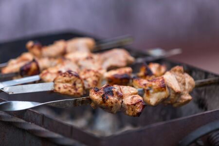 Cooking shashlik on the mangal in nature.の写真素材