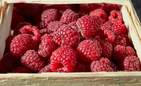 Fresh and sweet raspberries background