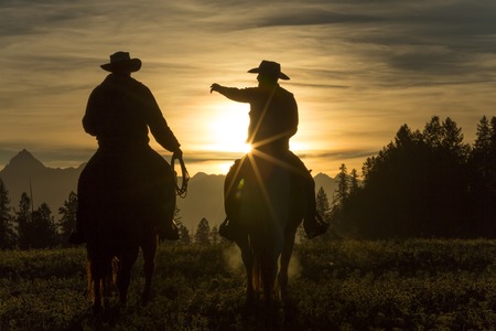 Cowboys riding across grassland with moutains behind, early moring, British Colombia, B.C., Canadaの写真素材