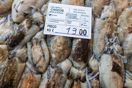 Varieties of fresh fish in market in Tavira, Algarve Portugal