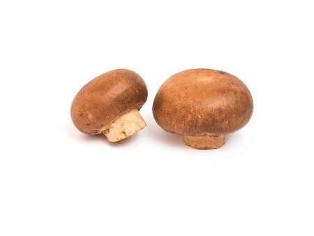 Fresh organic mushroom isolated on whiteの写真素材