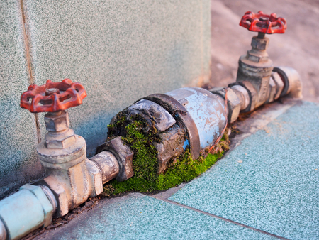 Old water valve with moss