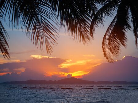 Sunset at the sea in summer season for background with copy space.の写真素材