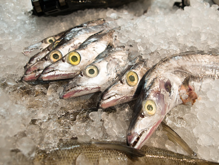 Fresh raw fish sale in seafood department in supermarket.