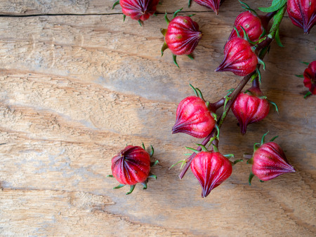 Fresh organic red  roselle fruit on wooden table in top view with copy space.の写真素材