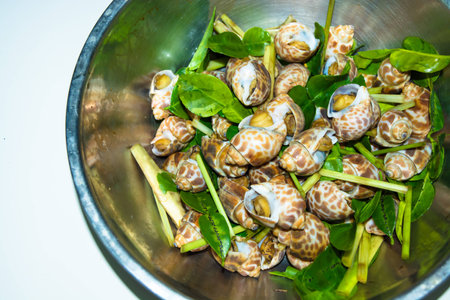 Fresh spotted Babylon with Kaffir lime leaves herb and Lemon grass ready for cookingの写真素材