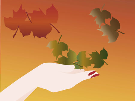 female hand catching falling leavesのイラスト素材