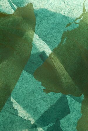 abstract pattern background of white and blue tissue paperの写真素材