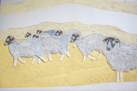 wall mural of flock of sheepの写真素材