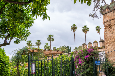 Parque de Maria Luisa - Maria Luisa Park in Seville, Spainの写真素材
