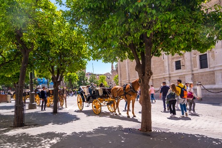 Seville, Spain May 8th 2019 Horse and carriage in Seville, Andalusia, Spainのeditorial素材