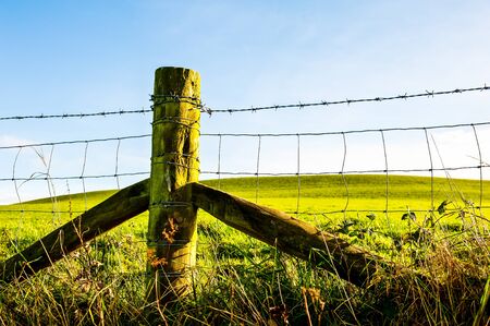 Fence line, the typical wood post and barbed wire barrier UKの写真素材