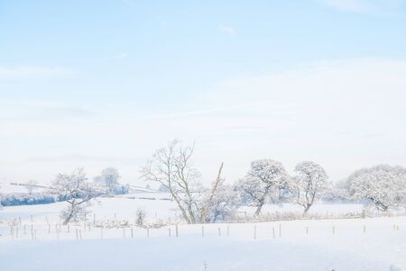 a simple background landscape with snow covered fields and distant trees half obscured by mist UKの写真素材