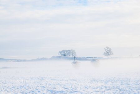 a simple background landscape with snow covered fields and distant trees half obscured by mist UKの写真素材
