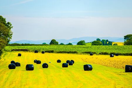 Bales of silage on a field in summertime just after grass cutting UKの写真素材